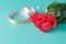 Valentine\'s Day: red roses and ribbons on aquamarine background