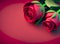 Valentine\\\'s Day Roses, Romantic Red Blooms with Copy Space