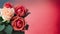 Valentine\\\'s Day Roses, Romantic Red Blooms with Copy Space