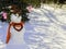 Valentine Snowman with heart
