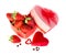 Valentine strawberry and heart