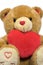 Valentine teddy