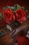 Valentine violin with red roses on a dark red background