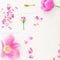Valentines background. Pink tulips, roses and vintage paper cards isolated on white background. Flat lay, Top view.