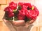 Valentines day background. Bouquet of red roses on wooden background. Red rose in the morning.