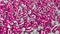 Valentines day background. View of a bunch of white and pink spheres with hearts textures.