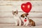 Valentines Day Card Featuring An Adorable Dog And Cat With Balloon