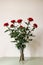 Valentines day concept: seven red roses in a vase. Design for greeting card, calendar, poster or banner.
