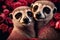 Valentines Day Cuddling Animals - Meerkat Couple5 (Generative AI)