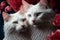 Valentines Day Cuddling Animals - Turkish Angora Couple2 (Generative AI)