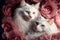 Valentines Day Cuddling Animals - Turkish Angora Couple3 (Generative AI)
