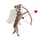 Valentines Day Cupid Dog