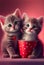 Valentines day cute card pets cat cats kitten kittens