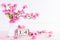 Valentines day and love concept. Pink Plum Peach Blossom in vase with February 14 text on wooden block calendar on white wooden