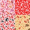 Valentines Day Seamless Pattern