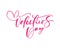 Valentines Day vector handwritten lettering text. Holiday design to greeting card, poster, congratulate, calligraphy