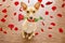 Valentines dog in love with rose in mouth