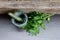 Valerian Herb Leaves with Green Marble Mortar and Pestle on gra