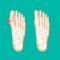 Valgus deformity of the big toe. Foot health care.