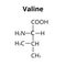 Valine amino acid. Chemical molecular formula of valine amino acid. Vector illustration on isolated background