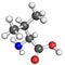 Valine molecule