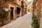 Valldemossa - old mountain village in beautiful landscape scenery of Mallorca, Spain