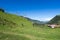 Valle de Cocora, Salento, QuindÃ­o, Colombia