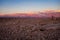 Valle de la Luna at sunset in San Pedro de Atacama, Chile