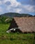 Valle de vinales