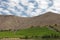 Valle del Elqui vineyard