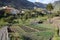 VALLE GRAN REY, LA GOMERA, SPAIN: Cultivated terraced fields and palm trees with Los Granados village on the left side