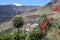 VALLE GRAN REY, LA GOMERA, SPAIN: Mountainous and green landscape with terraced fields and palm trees