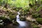 Valle Jannanghera springs, Abruzzo National Park, Italy