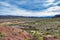 The valley of the Bill Williams River colors green after rain