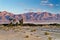 Valley of Evrona nature reserve, Eilat, Israel