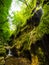 Valley of the Ferriere, Amalfi Coast