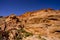 Valley of Fire - great landscapes