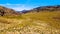 Valley of Fire Highway leading into the Valley of Fire State Park in Nevada, USA