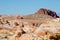 Valley of Fire landscape