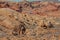 Valley of Fire Rugged Landscape