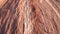 Valley of Fire texture rock