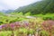 Valley of Flowers, uttarakhand india