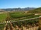 Valley full of vineyards, South America