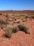 Valley of the Gods near Mexican Hat, Utah