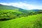 Valley of green fields in the countryside of Ireland. Dingle peninsula, County Kerry.