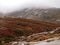 Valley of the Homem river, Peneda-GerÃªs national park in northern Portugal