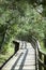 Valley of Junipers Wooden Path In Lithuania