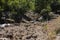 Valley of Krupa river near the karst spring