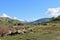 Valley leading to Sequoia National Park, California in the distance.