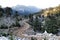 Valley of Lebanese cedars on a pass near Tahtali Mountain